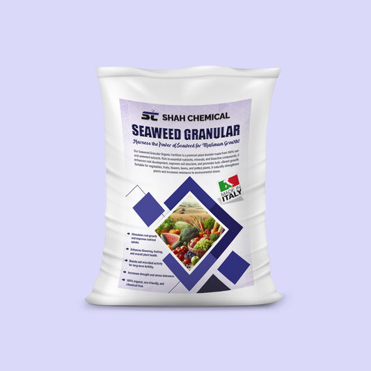 Seaweed Granular - MADE IN ITALY