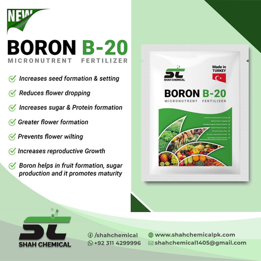 BORON B-20 Micronutrent Fertilizer - 1kg Pack MADE IN TURKEY