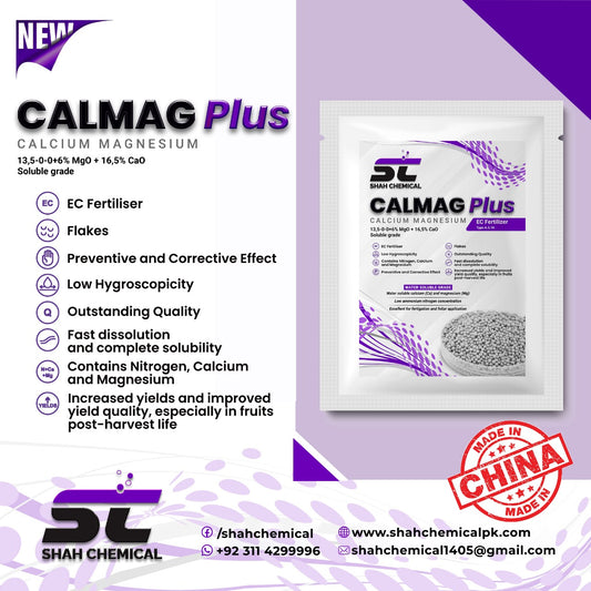 CALMAG PLUS Calcium Magnesium - 1 Kg Pack