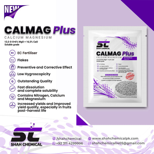 CALMAG PLUS Calcium Magnesium - MADE IN CHINA