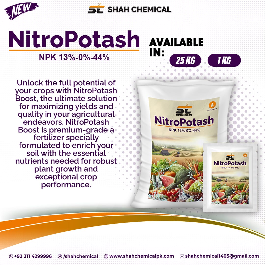 Nitro Potash ( NPK 13%-0%-44%)