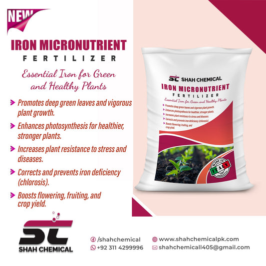 Iron Micronutrient Fertilizer Made In Italy - 25 kg