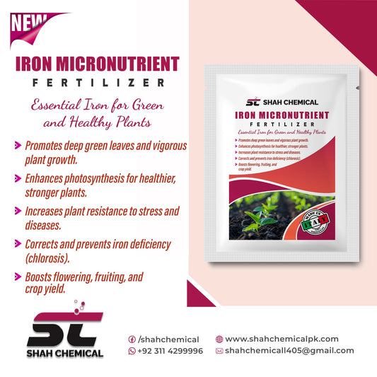 Iron Micronutrient Fertilizer Made In Italy - 1 kg