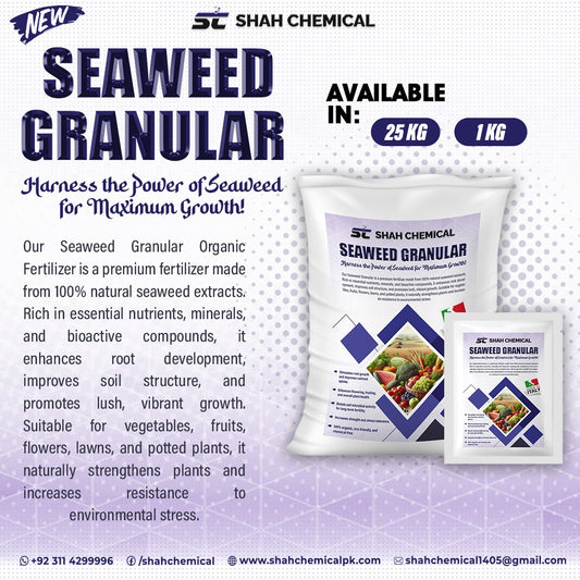 Seaweed Granular - MADE IN ITALY