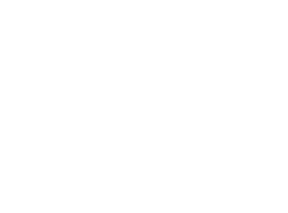 SHAH CHEMICALS